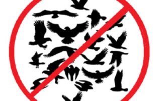 Raptor - Birds of Prey Deterrent